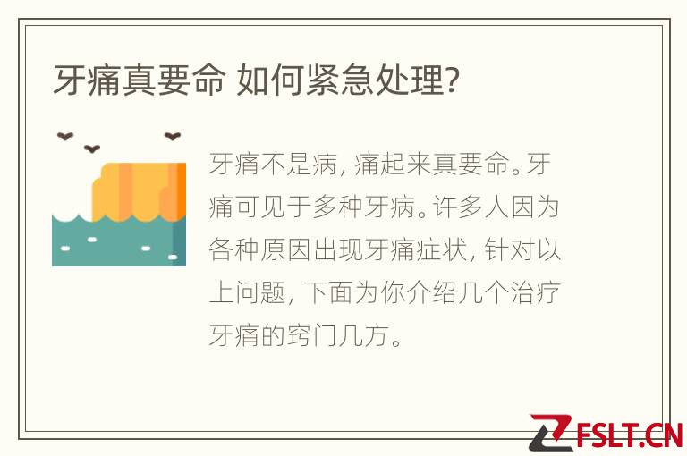 牙痛真要命 如何紧急处理？