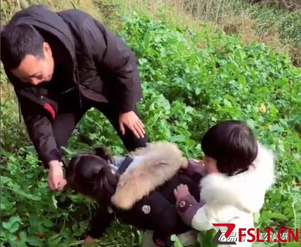双胞胎萌娃到地里拔萝卜，最后爷爷来帮忙，网友：这是丰收的喜悦