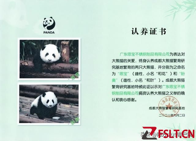 大熊猫和花和叶已被广东一企业认养，网友：原来花花是不锈钢公主