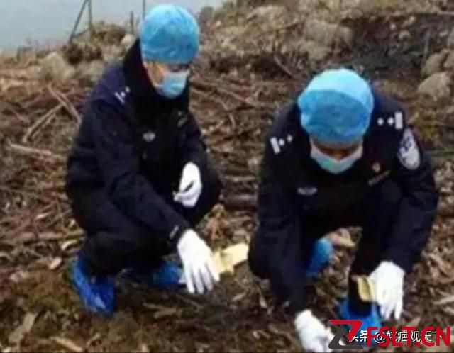 为争家产，佛山19岁少女活埋兄妹于石榴树下，案发原因，枝叶枯落