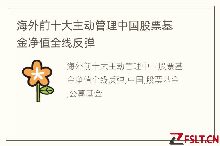 海外前十大主动管理中国股票基金净值全线反弹