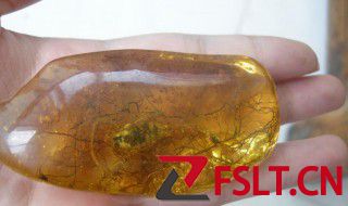 松脂球的形成需要哪四个条件 松脂球的形成条件