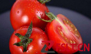 怎么判断西红柿坏了 判断西红柿坏方法