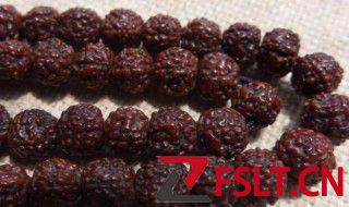 小金刚菩提哪种最好 小金刚菩提什么类型最好