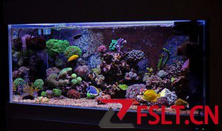 家里鱼缸清洗方法 家里鱼缸怎样清洗