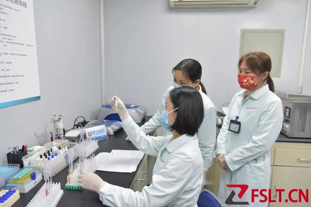 极罕见！佛山发现1例“恐龙血”！