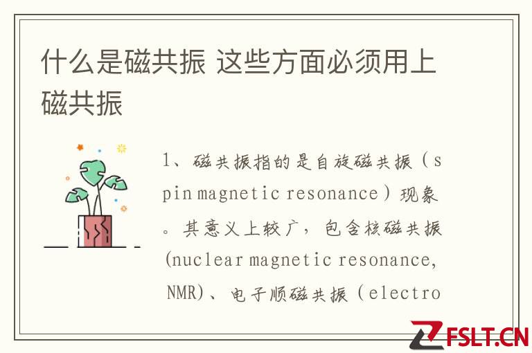 什么是磁共振 这些方面必须用上磁共振