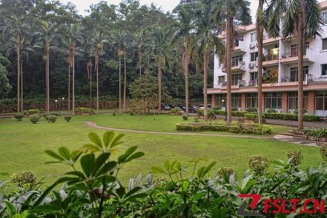 广东外语外贸大学2023年学校各专业复试分数线!