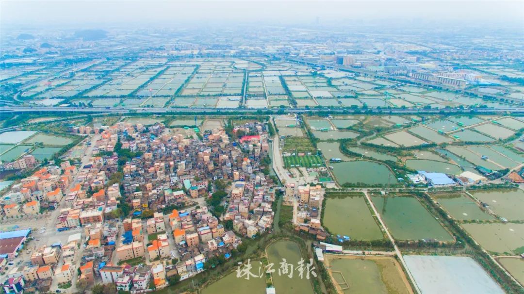 顺德知味丨顺德鱼生的古典之美(图2)